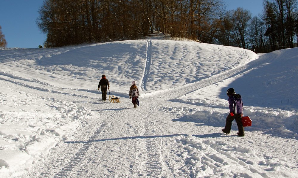 Toboggan runs offer fun for the entire family